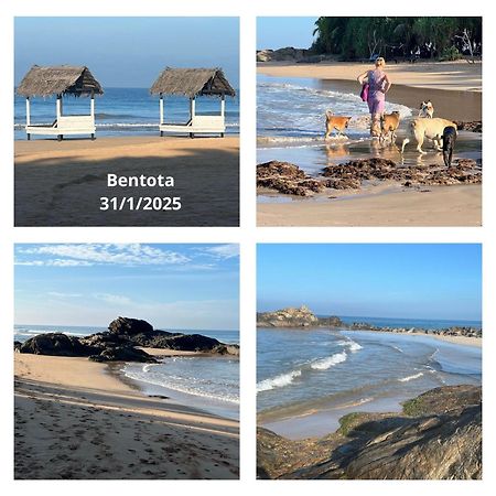 Osanda Guest Bentota Exterior photo