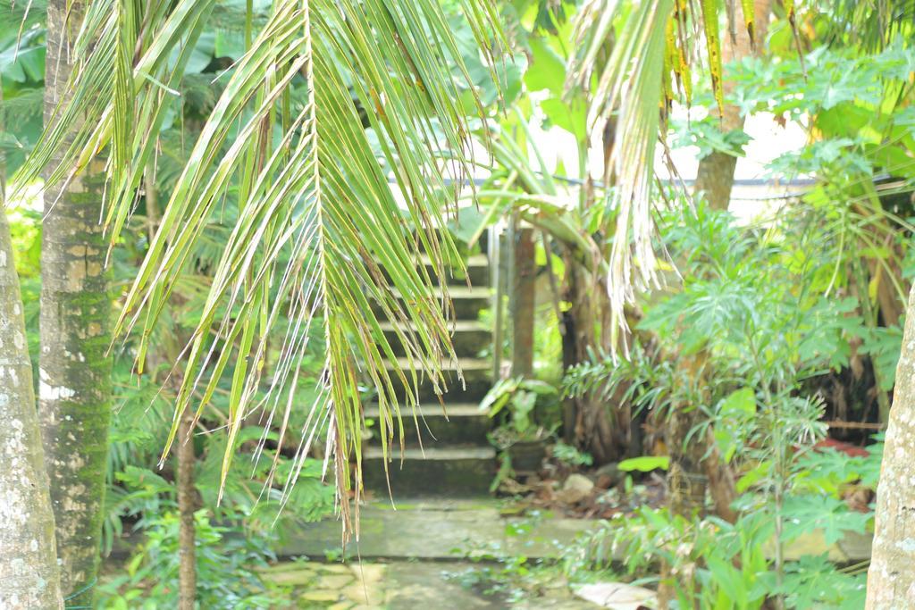 Osanda Guest Bentota Exterior photo