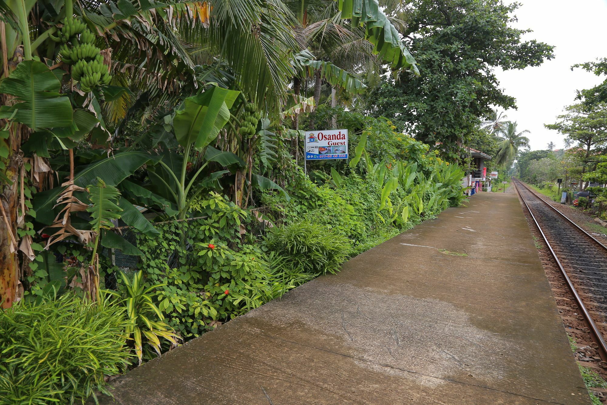 Osanda Guest Bentota Exterior photo