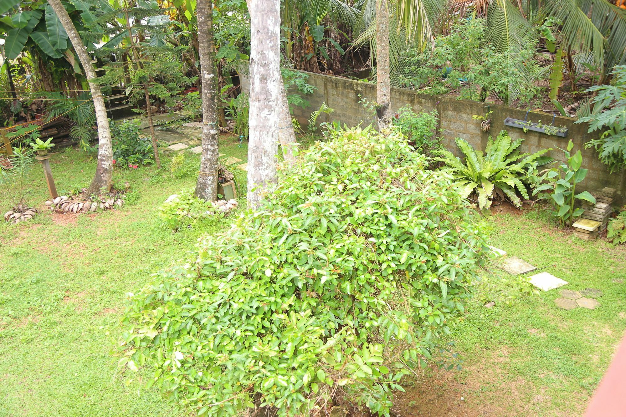 Osanda Guest Bentota Exterior photo